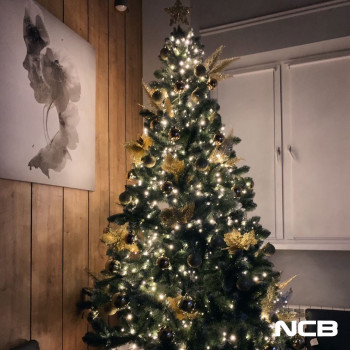 NCB, Київ Фото - 22