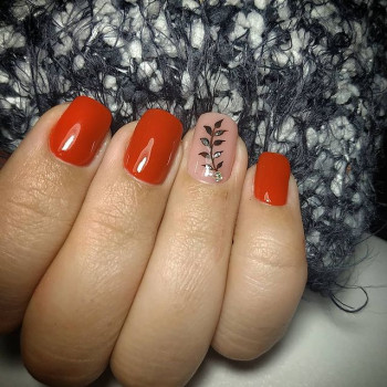 Марина Міроненко, Миронівка Фото - 6