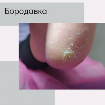 Юлія Шовкова, Ковель Фото - 5