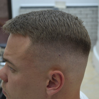 Тамер, Київ Фото - 9