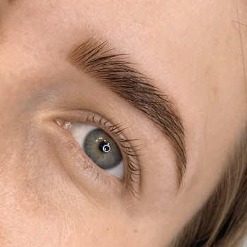 Коррекция и окрашивание бровей краской