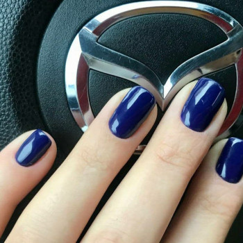 Avokado, Коцюбинське Фото - 6