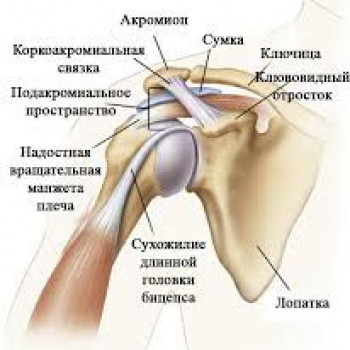 Боль в плечевом суставе
                    Кинезитерапевт Сергей Кривой Рог