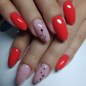 Larin, Софиевская Борщаговка Фото - 5