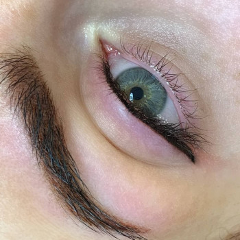 Фото из портфолио мастера Регина Сергиенко (мастер перманентного макияжа, Харьков)