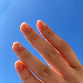 Bee lab, Козин Фото - 6