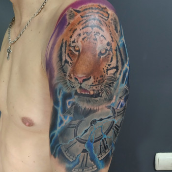 Максим Медведюк, Рівне Фото - 29