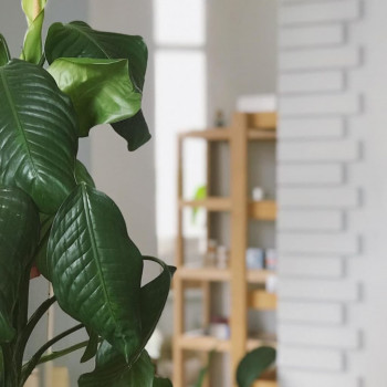 поради терапевта