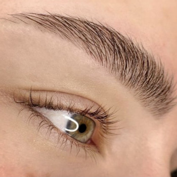 Фарбування і корекція брів