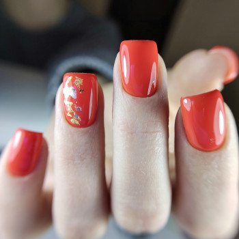 Ирина Кузьмук, Дніпро Фото - 5