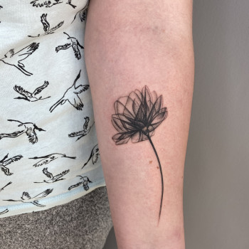 Мария Новосад, Луцьк Фото - 28