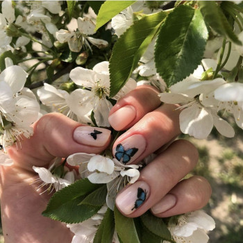 Ольга Кондратенко, Київ Фото - 8