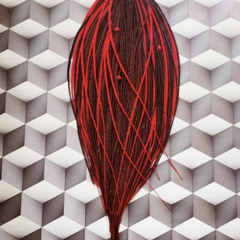 Ксения , Киев Фото - 28