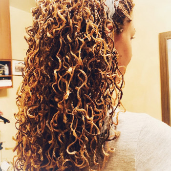 Зизи завитые