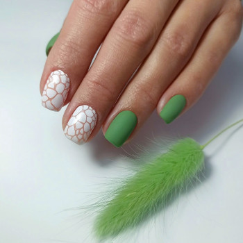 CK studio, Тернополь Фото - 50