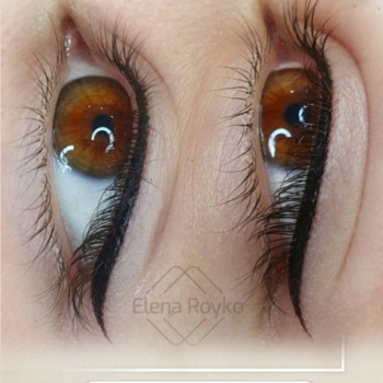 Елена Ройко, Кривой Рог Фото - 6