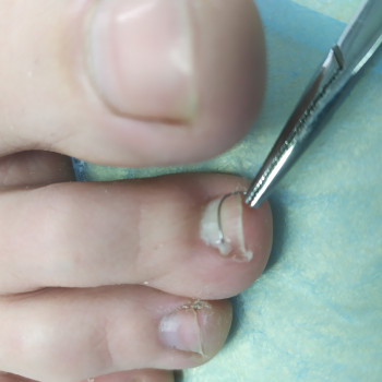 Єлізавета Красіцька, Львов Фото - 6