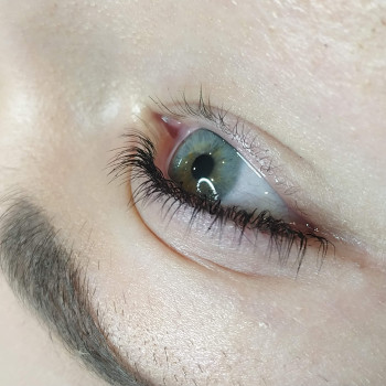 Лами ресничек