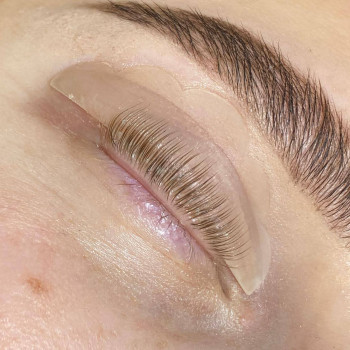 Лами в процессе