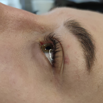 Лами ресничек