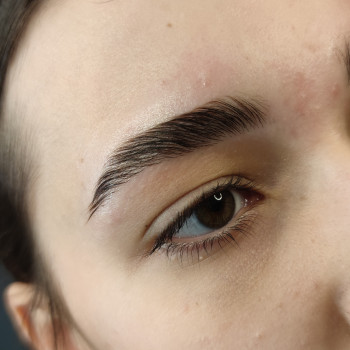 Лами бровей