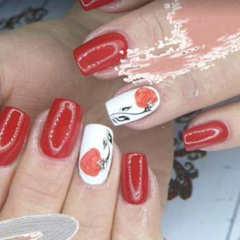 Клеопатра, Селидово Фото - 5