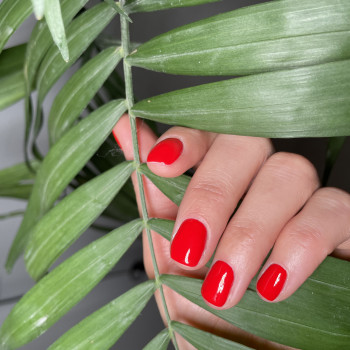 M94 Beauty Space, Маріуполь Фото - 9