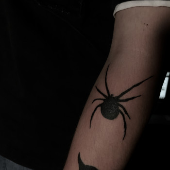 Даниил Штефан, Київ Фото - 7