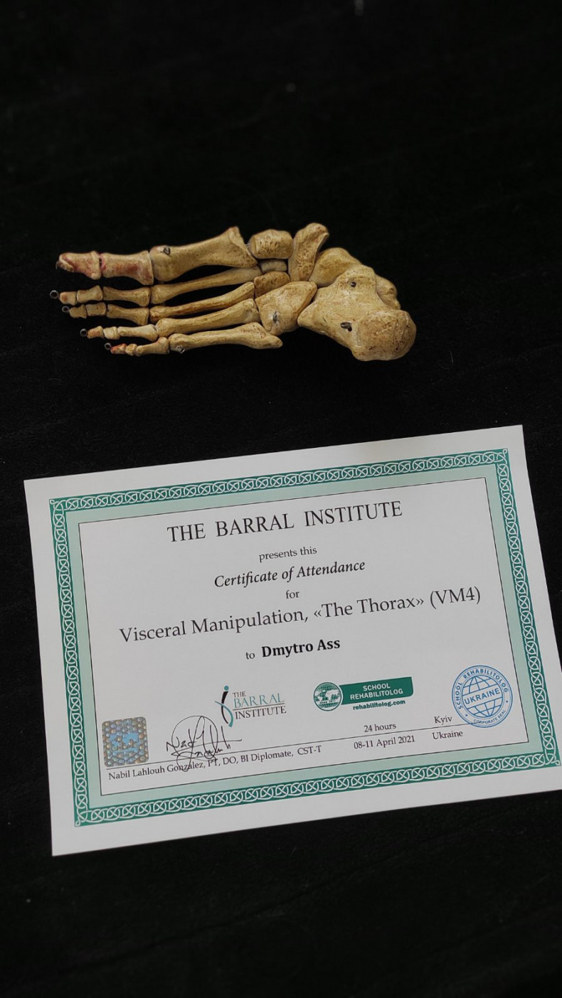 Висцеральные манипуляции грудная клетка. Легкие, трахея, пер, фото - Остеопат Дмитрий Асс