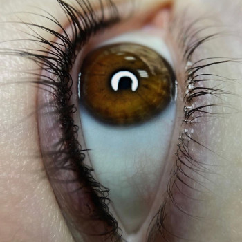 Межресничка
                    Бровіст Диана Маріуполь