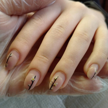 Носка 5 недель