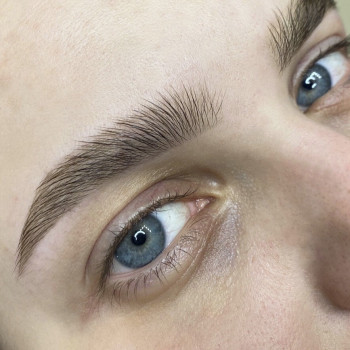 Оформление бровей
                    Лешмейкер Лина Днепр