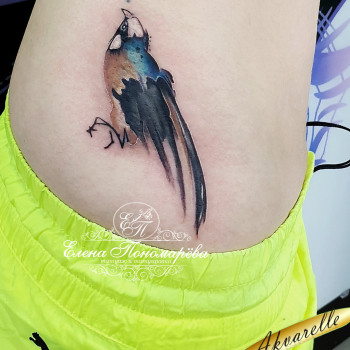 Татуировка художественная Цветная
                    Мастер перманентного макияжа Елена Кривой Рог