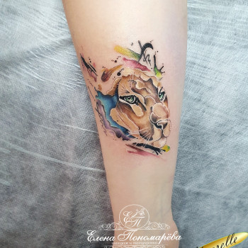 Татуировка художественная Цветная
                    Мастер перманентного макияжа Елена Кривой Рог