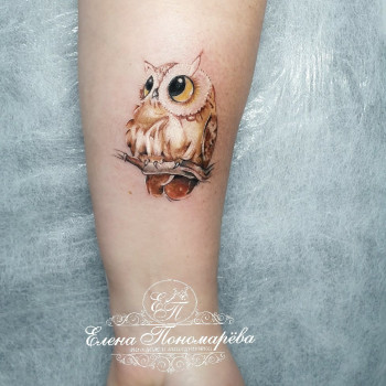 Татуировка художественная Цветная
                    Мастер перманентного макияжа Елена Кривой Рог