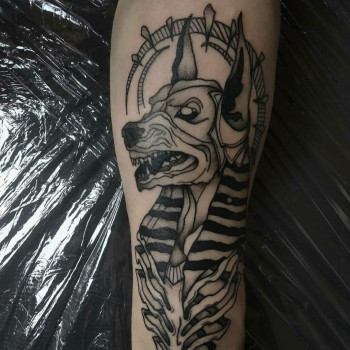 Илья Павленко, Житомир Фото - 16