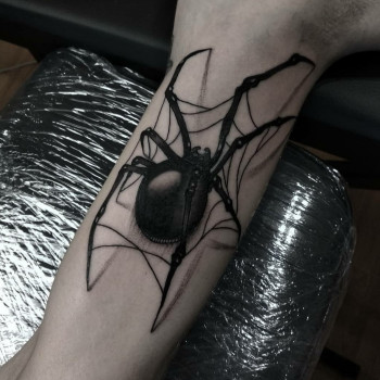 Илья Павленко, Житомир Фото - 19