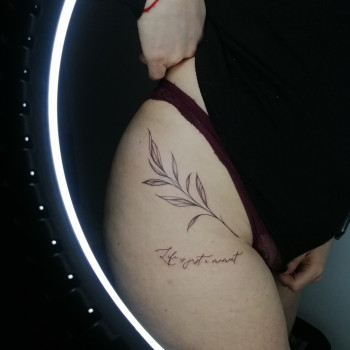 Skindreams, Харьков Фото - 53