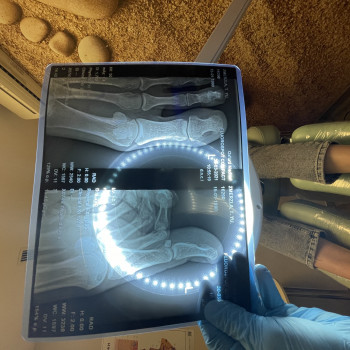 Кристина Жалейко, Киев Фото - 72