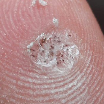 Кристина Жалейко, Киев Фото - 4