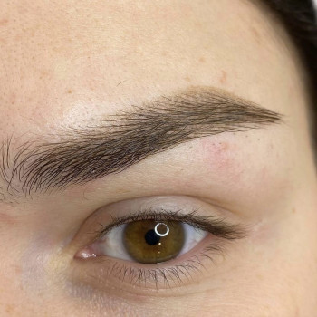 Перманентное напыление бровей
                    Майстер перманентного макіяжу Елизавета Житомир