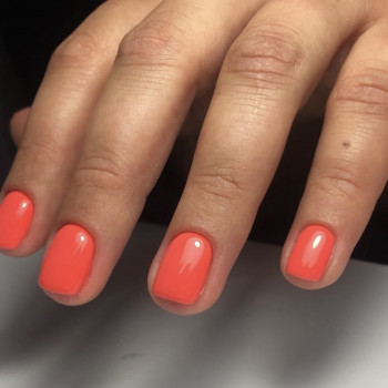 Malezhyk Art, Харків Фото - 16