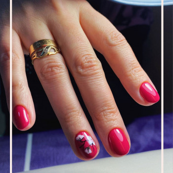 Анна Ярмолюк, Рівне Фото - 7