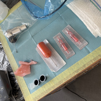 Услуги тату-мастера
                    Тату мастер Алина Черкассы