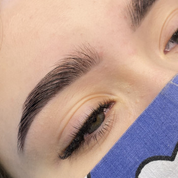 Коррекция и окрашивание бровей краской
                    Бровіст Юлия Ірпінь