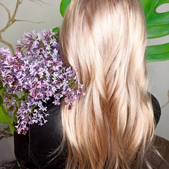 Бузковий блонд від майстра Олени ✂️