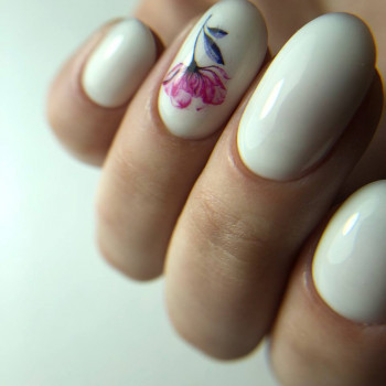 Навчальний центр Аліни Процюк, Рівне Фото - 20