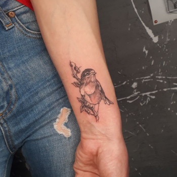 Тату Милий горобець 6х4 см, 2200 грн., фото - Тату салон Штаб-Квартира Tattoo Studio