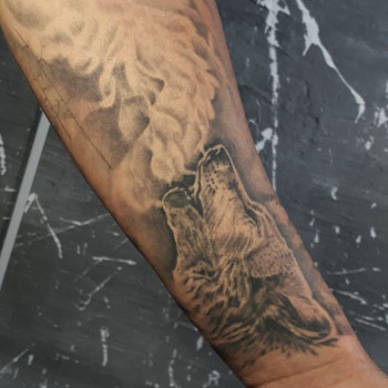 Волк с паром)) Один сеанс 6500 грн