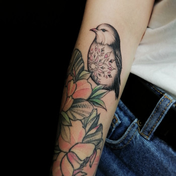 Тату кольорові птах тату пташки, фото - Тату майстер Катерина Зареченська